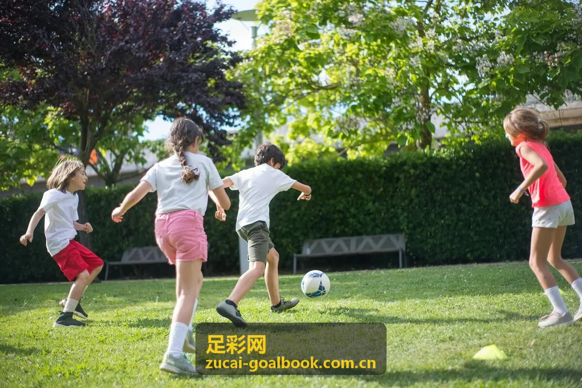 足彩网竞彩分析数据服务
